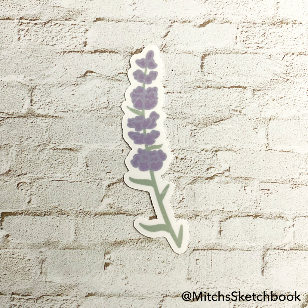 Lavender