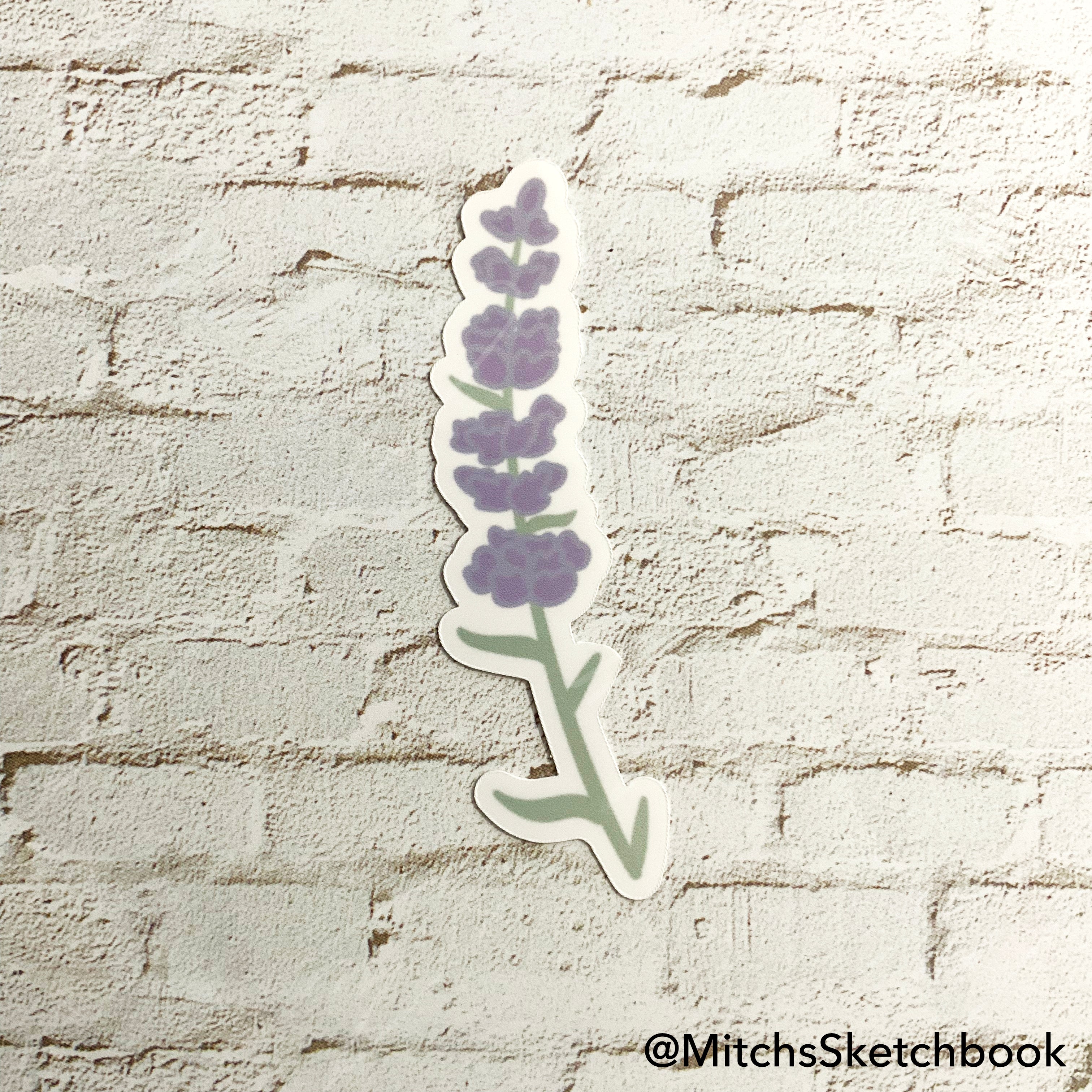 Lavender