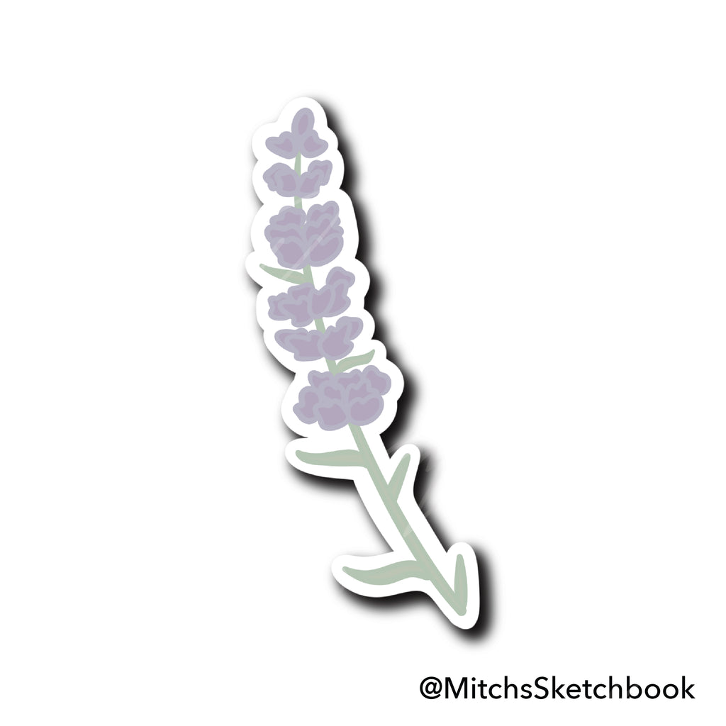 Lavender