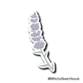 Lavender