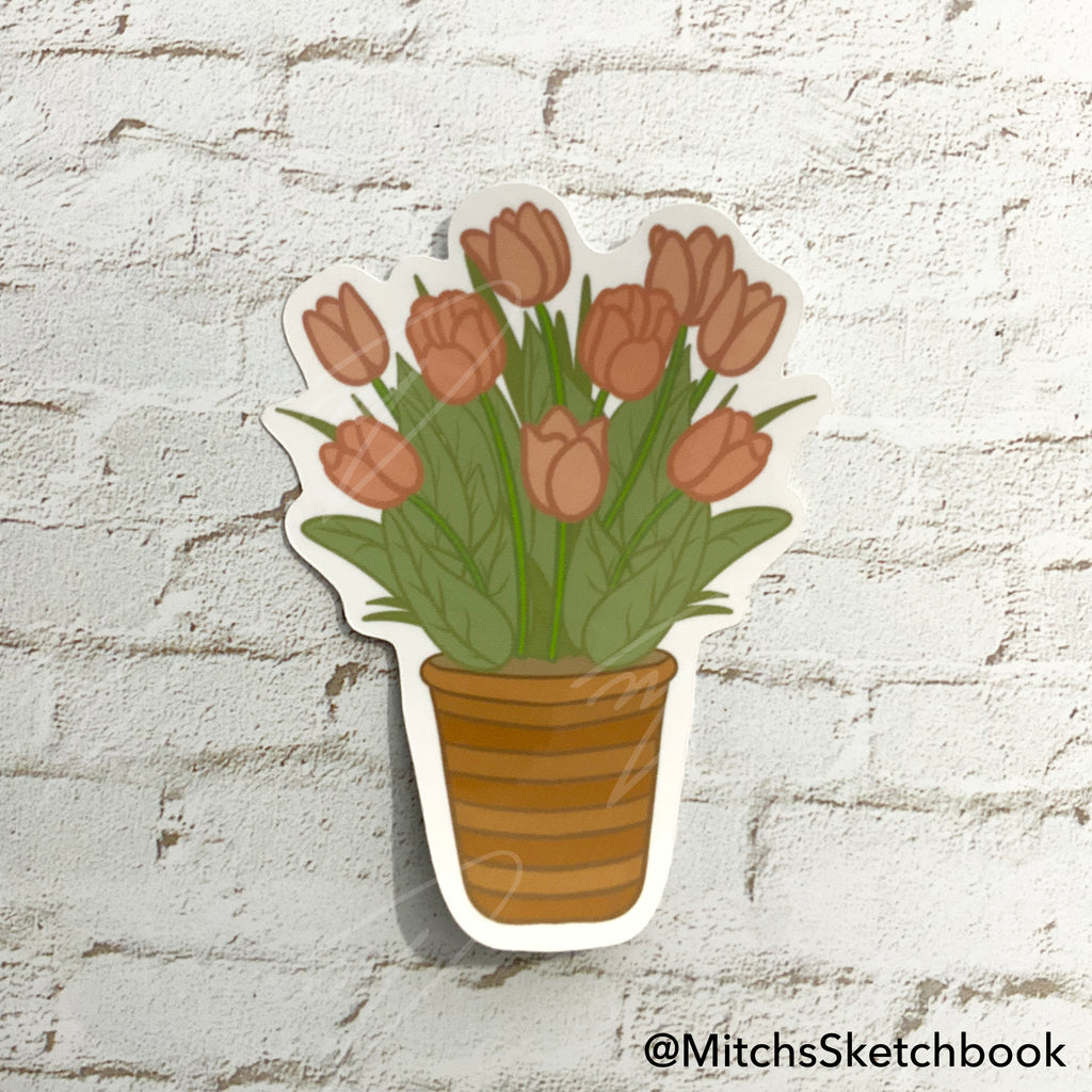 Tulip Plant