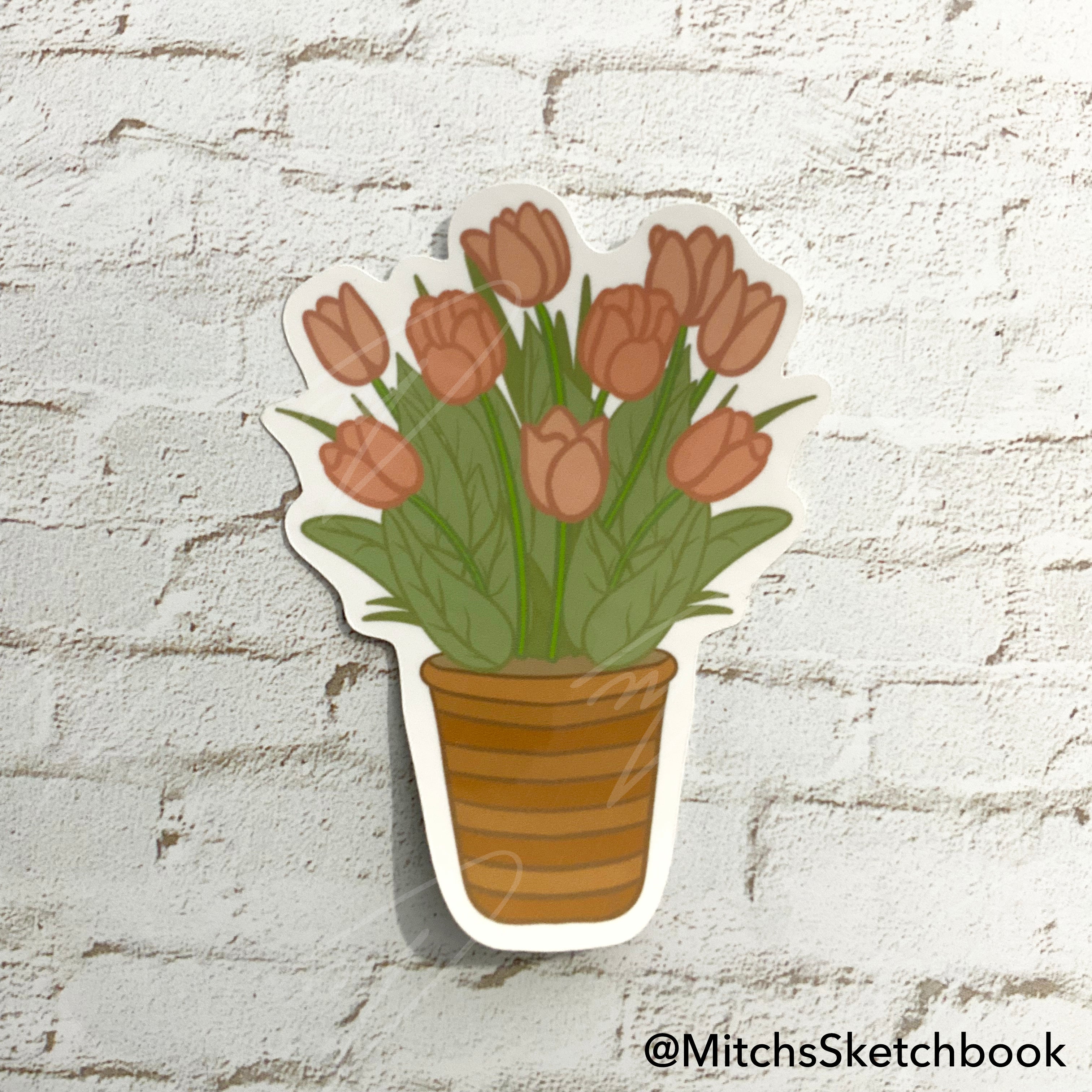Tulip Plant