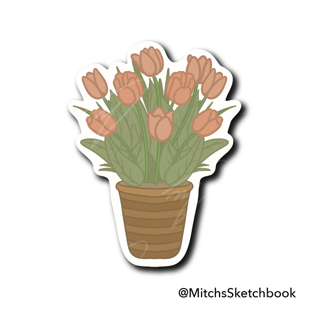 Tulip Plant